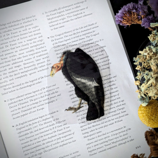 Clear Bookmark Vintage Illustration Vulture Scavenger Nature Dark Academia Handmade Artist Book Lover Reader Gift