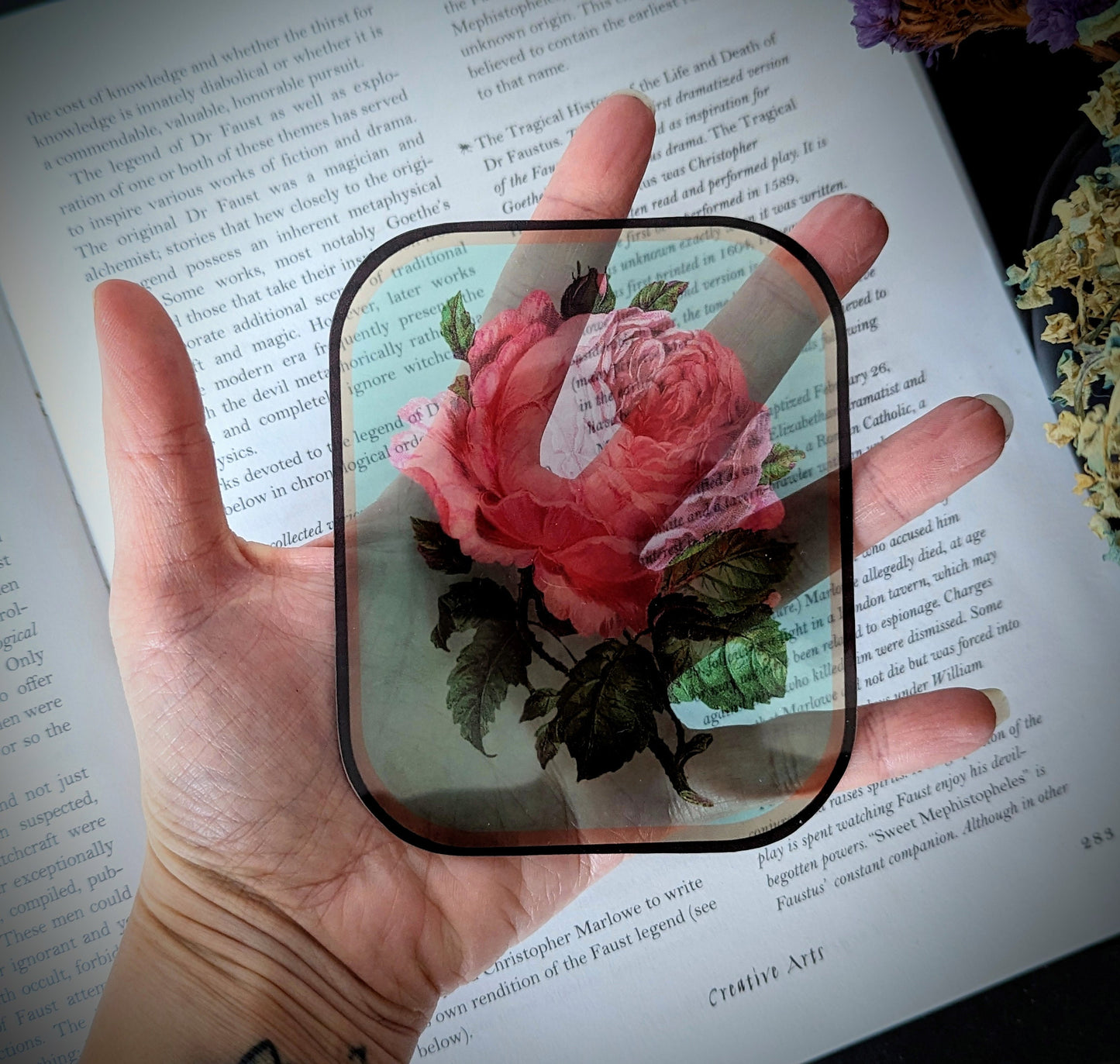 Clear Bookmark Vintage Pink Rose Flower Floral Victorian Goth Dark Academia Handmade Artist Book Reader Lover Gift