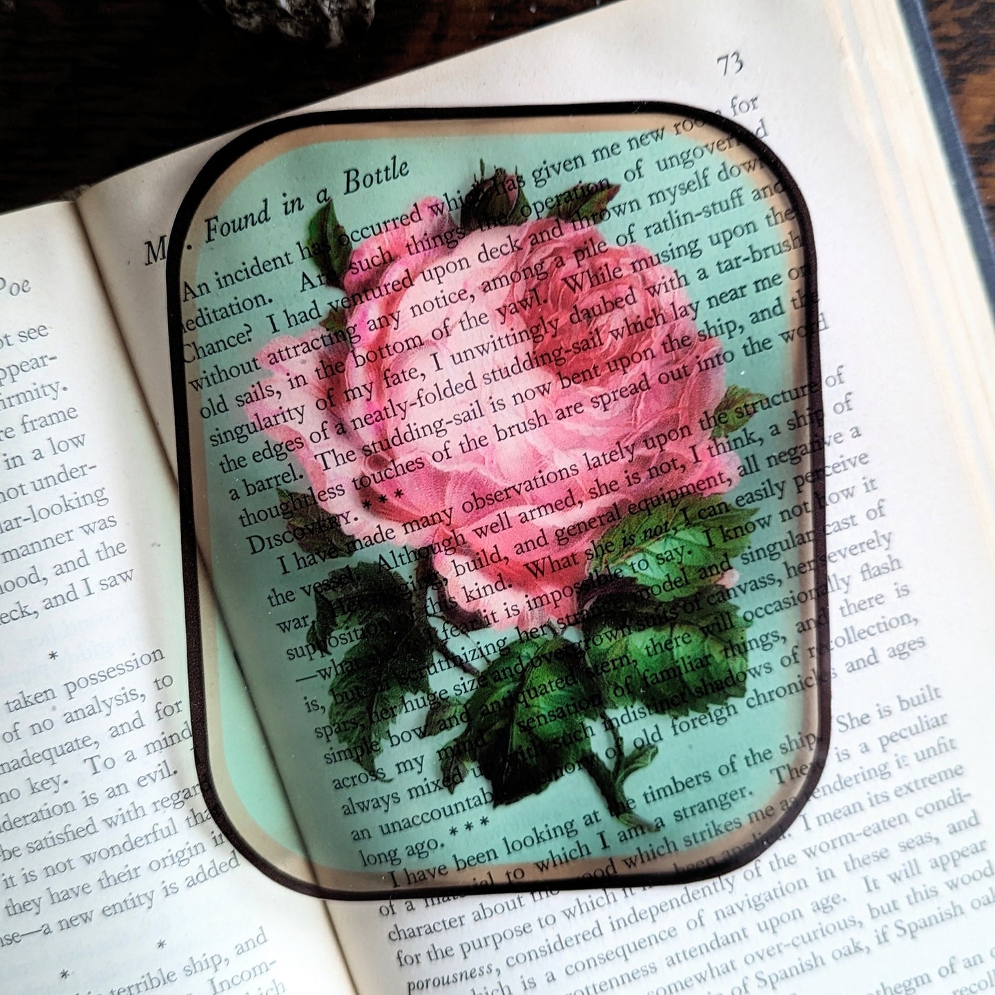 Clear Bookmark Vintage Pink Rose Flower Floral Victorian Goth Dark Academia Handmade Artist Book Reader Lover Gift