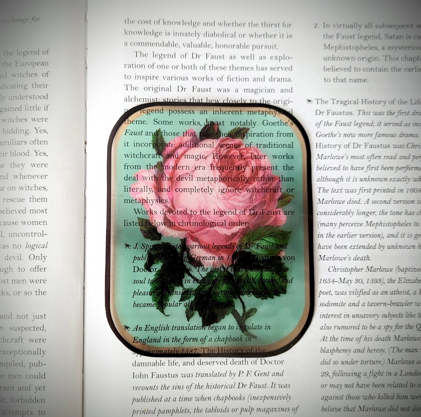 Clear Bookmark Vintage Pink Rose Flower Floral Victorian Goth Dark Academia Handmade Artist Book Reader Lover Gift