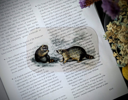 Clear Bookmark Vintage Illustration Raccoons Dark Academia Cottagecore Handmade Artist Book Lover Reader Gift