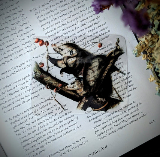 Clear Bookmark Vintage Illustration Opossums Dark Academia Cottagecore Handmade Artist Book Lover Reader Gift