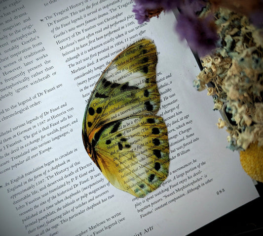 Clear Bookmark Vintage Butterfly Moth Wing Insect Bug Green Yellow Nature Dark Academia Fairycore Cottagecore Witchcore Handmade Art Gift