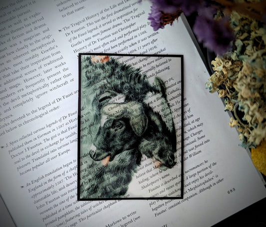 Clear Bookmark Vintage Illustration Two-Headed Calf Cow Dark Academia Cottagecore Handmade Artist Book Lover Reader Gift