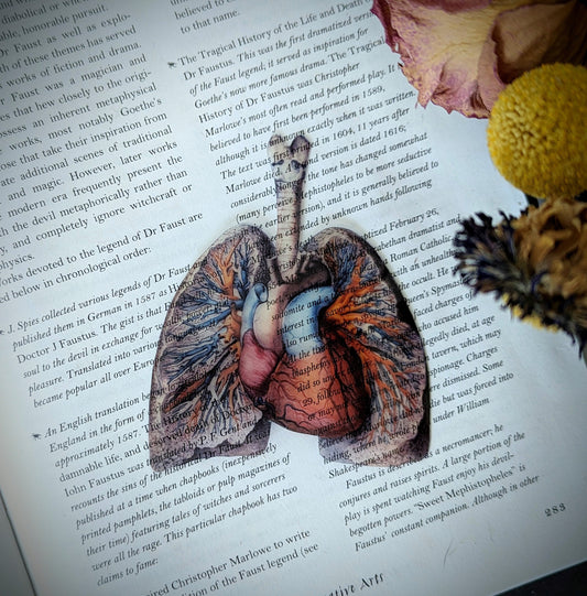 Clear Bookmark Anatomical Human Lungs Heart  Medical Anatomy Goth Gothic Halloween Horror Book Reader Lover Gift Vintage Illustration