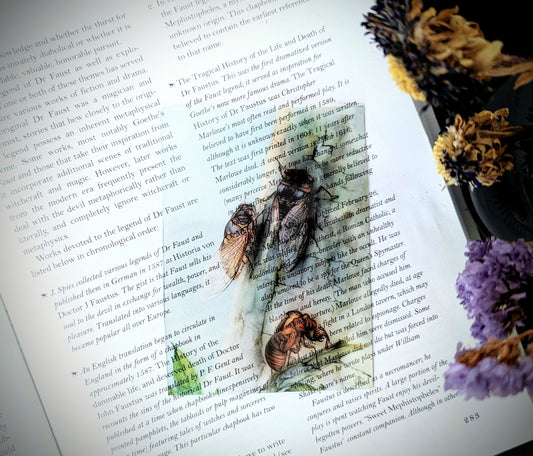Clear Bookmark Vintage Painting Edward Julius Detmold The Cicada Dark Academia Brood XIX Book Reader Lover Gift Handmade