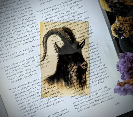 Clear Bookmark Vintage Painting Black Goat Sheep Ram Phillip Witch Goth Gothic Halloween Horror Creepy Dark Academia Book Reader Lover Gift