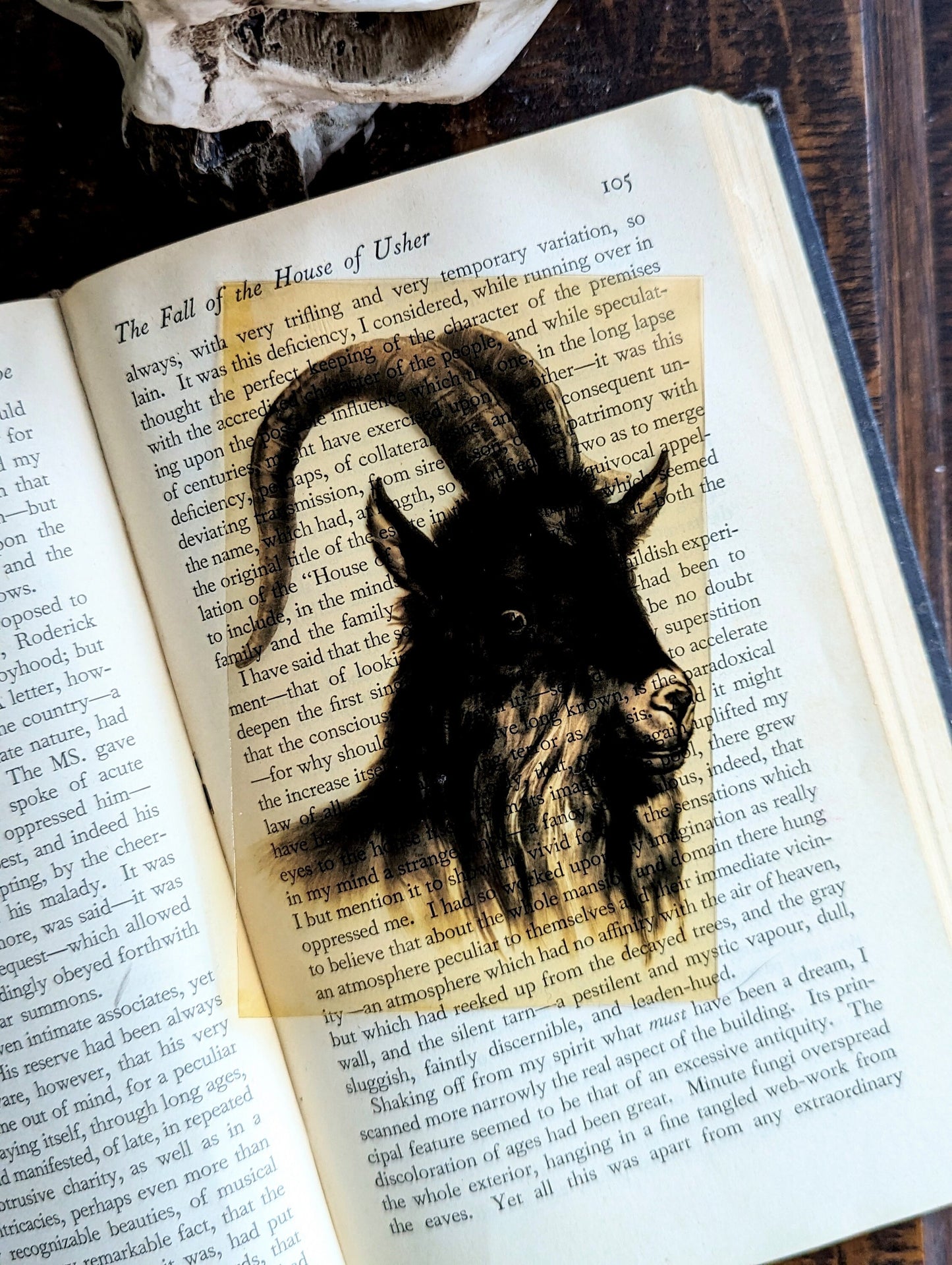 Clear Bookmark Vintage Painting Black Goat Sheep Ram Phillip Witch Goth Gothic Halloween Horror Creepy Dark Academia Book Reader Lover Gift