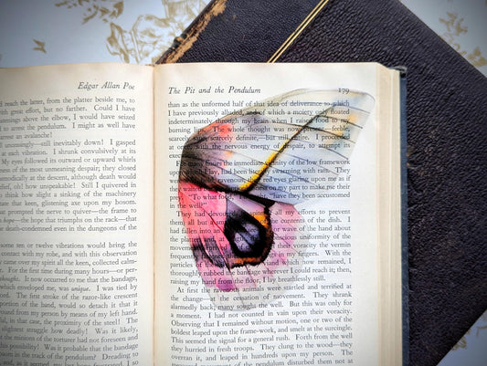Clear Bookmark Vintage Butterfly Moth Wing Insect Bug Pink Purple Nature Dark Academia Fairycore Cottagecore Witchcore Handmade Art