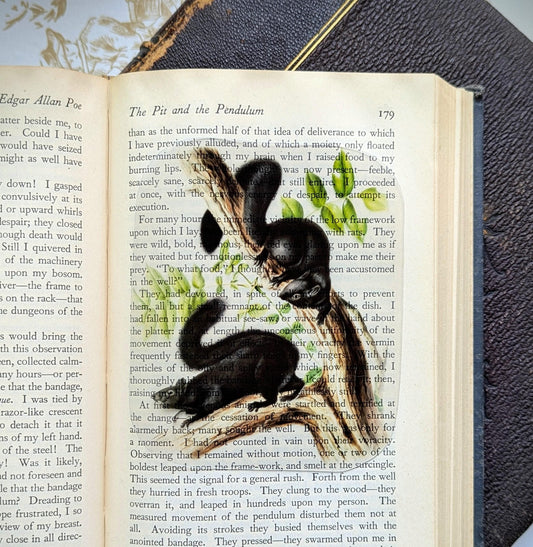 Clear Bookmark Vintage Illustration Black Squirrels Dark Academia Cottagecore Handmade Artist Book Lover Reader Gift
