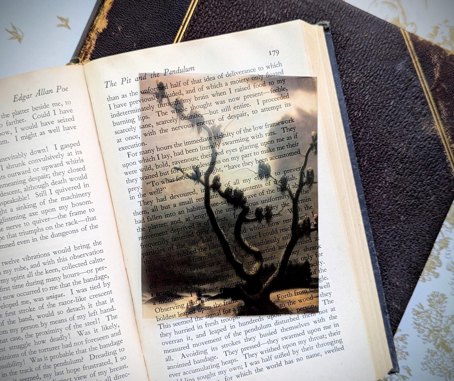 Clear Bookmark Vintage Illustration Ghosts On A Tree Franz Sedlacek Moody Gloomy Gothic Dark Academia Book Reader Lover Gift Handmade