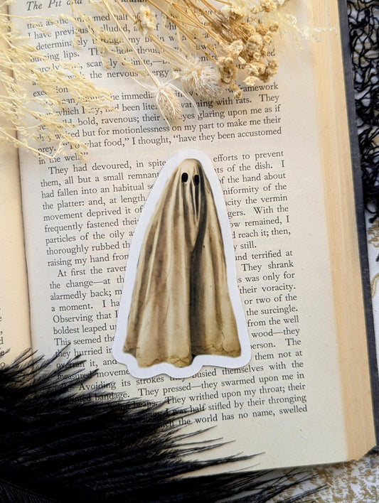 Vinyl Waterproof Sticker Hydroflask Water Bottle Laptop Realistic Sheet Ghost Goth Gothic Horror Halloween Witch Witchcraft