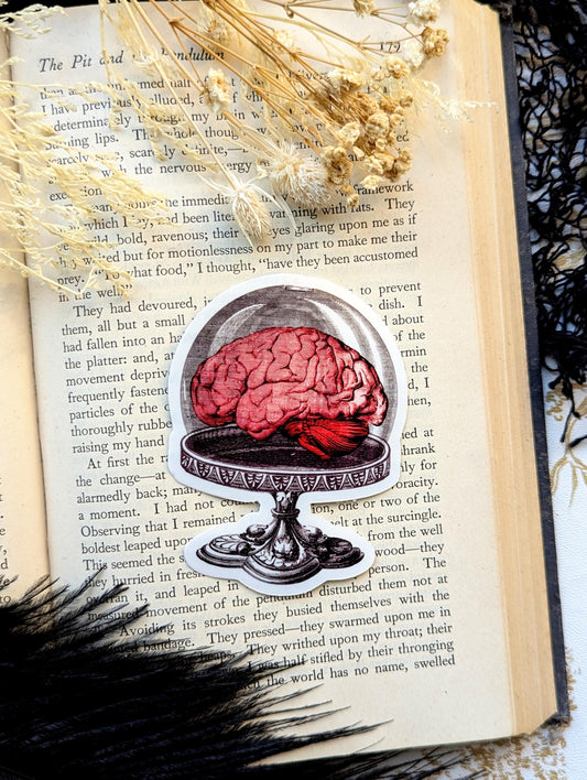 Vinyl Waterproof Sticker Brain Cake Stand Dome Fancy Dinner Dessert Meal Goth Creepy Witch Witchcraft Occult Horror Halloween Weird Dark