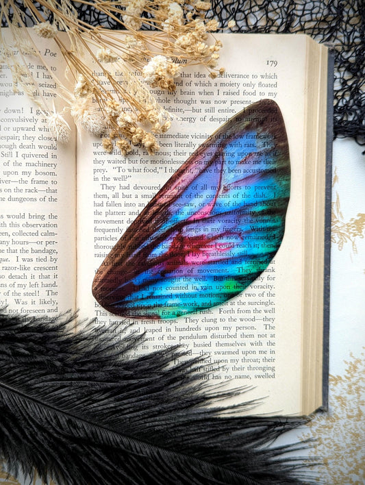 Clear Bookmark Fairy Wing Pretty Colorful Whimsical Nature Goth Gothic Dark Academia Fairycore Cottagecore Witchcore