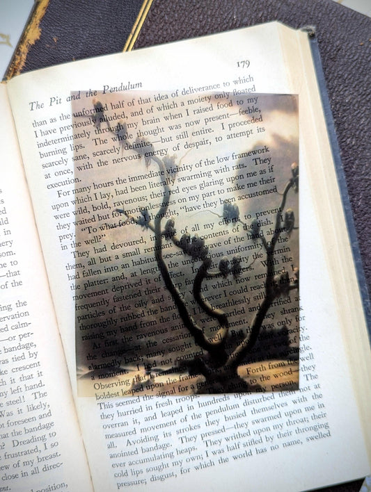 Clear Bookmark Vintage Illustration Ghosts On A Tree Franz Sedlacek Moody Gloomy Gothic Dark Academia Book Reader Lover Gift Handmade