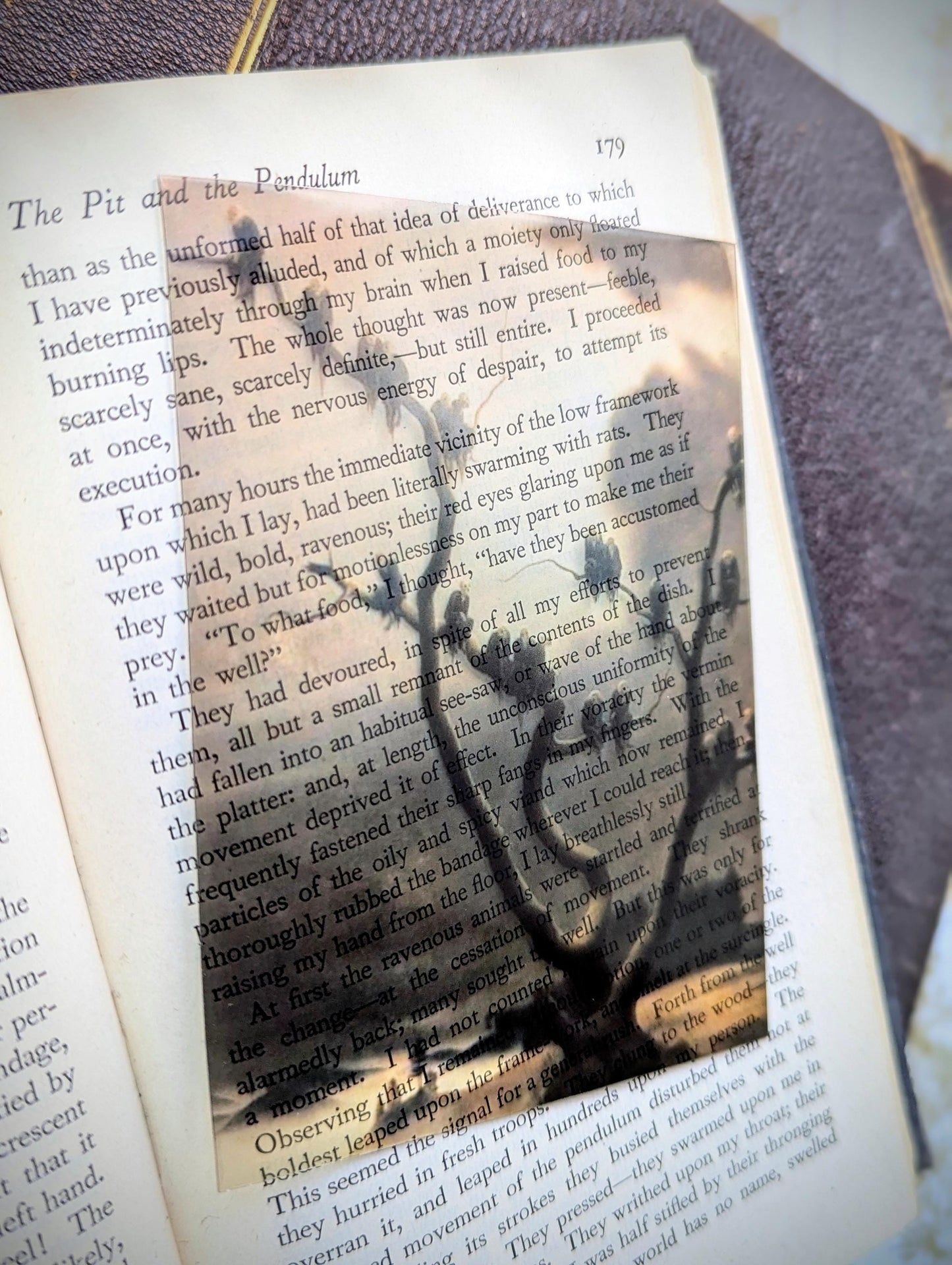 Clear Bookmark Vintage Illustration Ghosts On A Tree Franz Sedlacek Moody Gloomy Gothic Dark Academia Book Reader Lover Gift Handmade