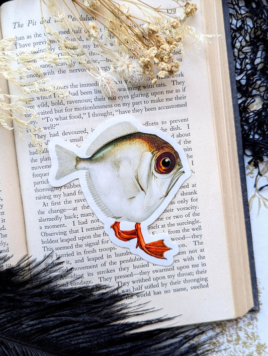 Vinyl Waterproof Sticker Surreal Fish Duck Feet Funny Humor Handmade Artist Gift