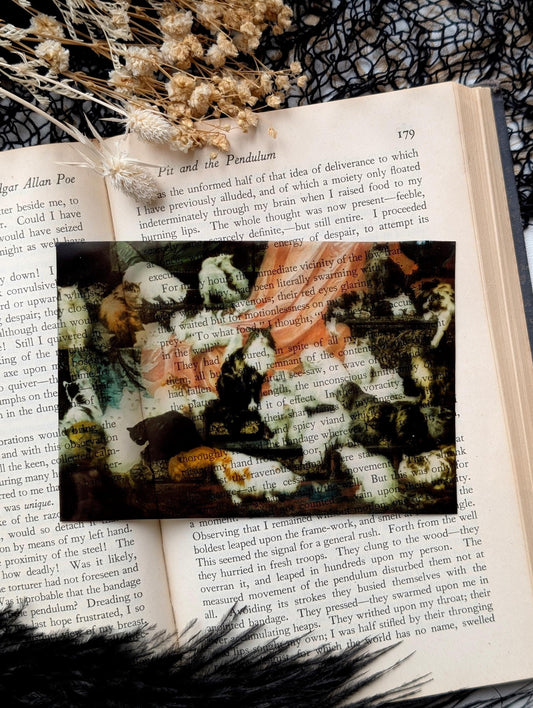 Clear Bookmark Vintage Painting My Wife's Lovers Carl Kahler Cat Cats Feline Felines Book Reader Lover Gift