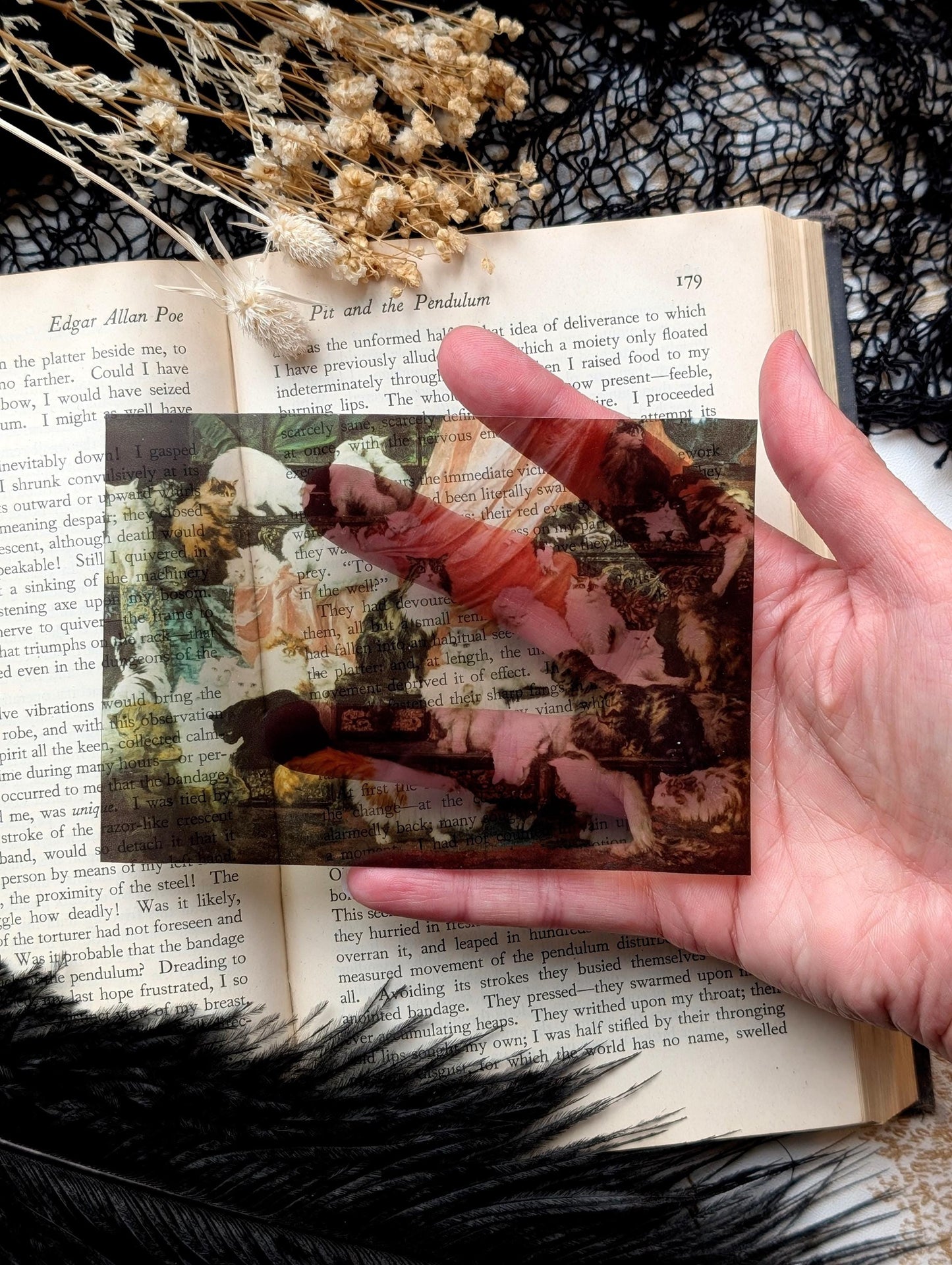 Clear Bookmark Vintage Painting My Wife's Lovers Carl Kahler Cat Cats Feline Felines Book Reader Lover Gift