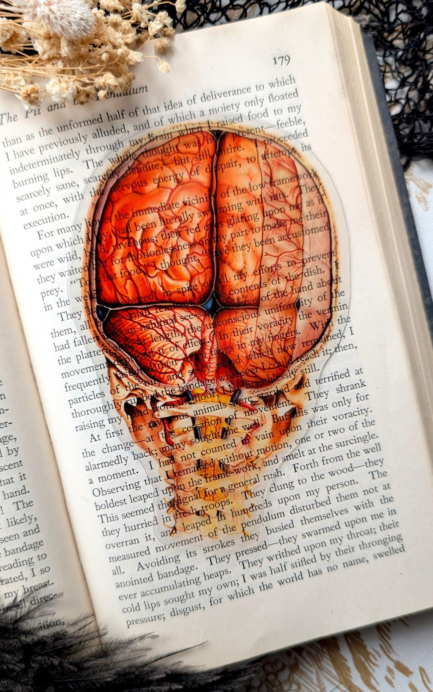Clear Bookmark Vintage Human Brain and Spine Goth Gothic Halloween Horror Creepy Dark Academia Book Reader Lover Gift Handmade