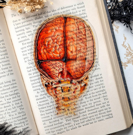Clear Bookmark Vintage Human Brain and Spine Goth Gothic Halloween Horror Creepy Dark Academia Book Reader Lover Gift Handmade